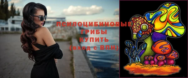 МДПВ Нея