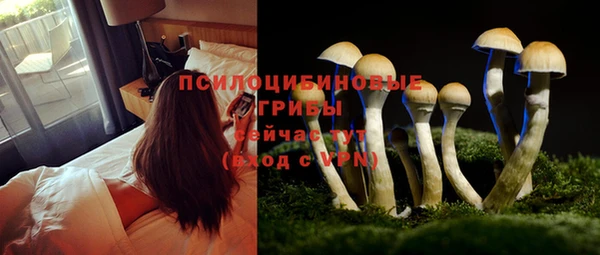 МДПВ Нефтегорск