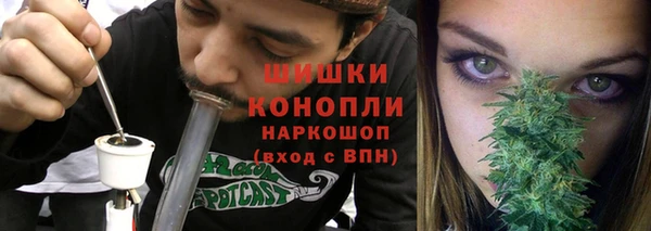МДПВ Нея
