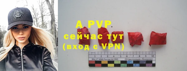МДПВ Нефтегорск