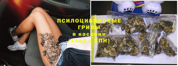 МДПВ Нефтегорск