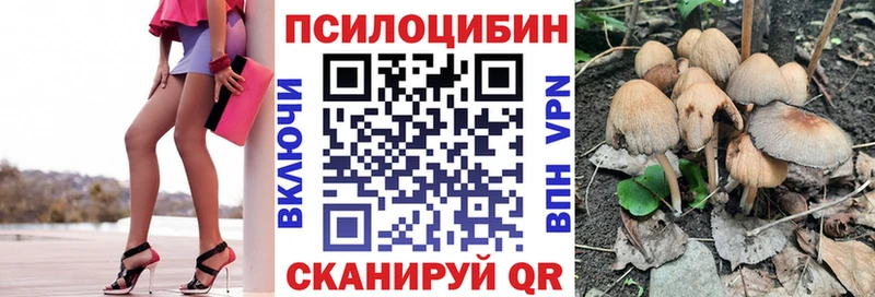 Галлюциногенные грибы GOLDEN TEACHER  где купить наркоту  Петров Вал 